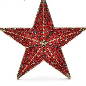 Red Star Crystal Brooch